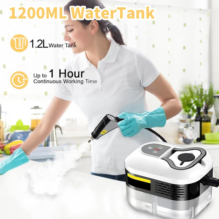 Portable steam cleaning machine---steam high pressure cleaning